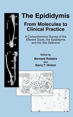 The Epididymis: From Molecules to Clinical Practice - Robaire, Bernard / Hinton, Barry (eds.)