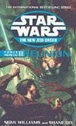 Cover Star Wars: The New Jedi Order - Force Heretic III Reunion