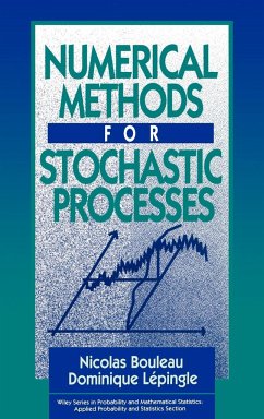 Numerical Methods for Stochastic Processes - Bouleau, Nicolas; Lépingle, Dominique