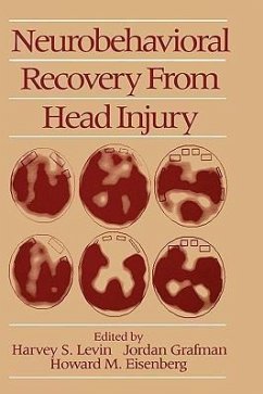 Neurobehavioral Recovery from Head Injury - Levin, Harvey S. / Grafman, Jordan / Eisenberg, Howard M. (eds.)