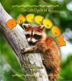 The Life Cycle of a Raccoon - Crossingham, John; Kalman, Bobbie