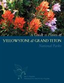 A Guide to Plants of Yellowstone and Grand Teton National Parks: Natural History Notes and Uses