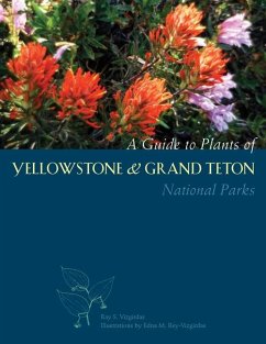 A Guide to Plants of Yellowstone and Grand Teton National Parks: Natural History Notes and Uses - Vizgirdas, Ray