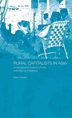 Cover Rural Capitalists in Asia