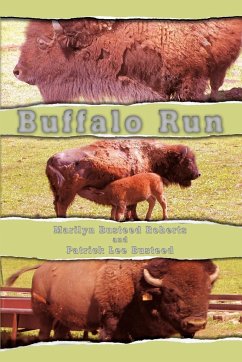 Buffalo Run - Roberts, Marilyn Busteed