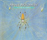 About Arachnids