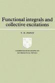 Functional Integrals and Collective Excitations