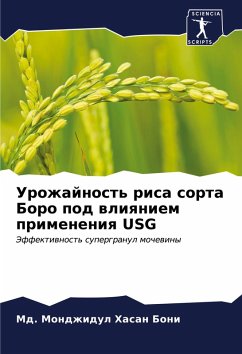 Cover Just for Today