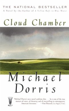 Cloud Chamber - Dorris, Michael