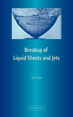 Breakup of Liquid Sheets and Jets - Lin, S. P.