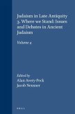 Judaism in Late Antiquity 3. Where We Stand: Issues and Debates in Ancient Judaism: Volume 4
