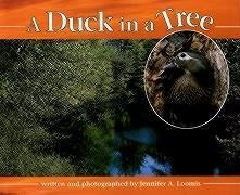 A Duck in a Tree - Loomis, Jennifer A.