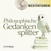Philosophische Gedankensplitter