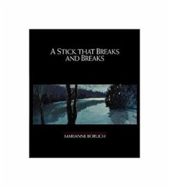 A Stick That Breaks and Breaks: Volume 5 - Boruch, Marianne