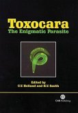 Toxocara