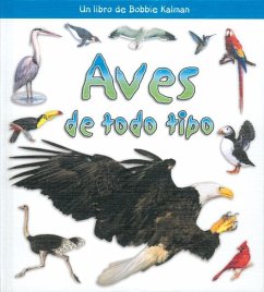 Aves de Todo Tipo (Birds of All Kinds) - Sjonger, Rebecca