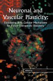 Neuronal and Vascular Plasticity