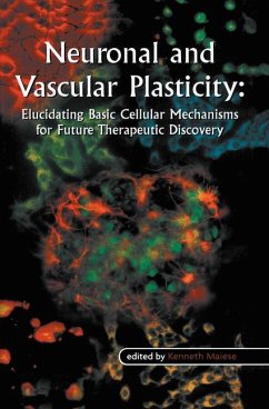 Neuronal and Vascular Plasticity - Maiese, Kenneth (Hrsg.)