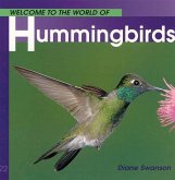 Welcome to the World of Hummingbirds