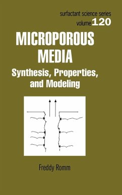 Microporous Media - Romm, Freddy Microporous Media - Romm, Freddy