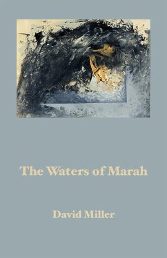 The Waters of Marah - Miller, David