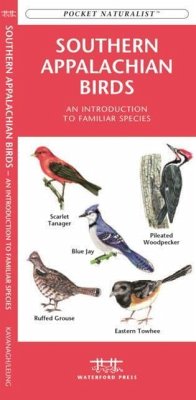 Southern Appalachian Birds - Kavanagh, James; Waterford Press