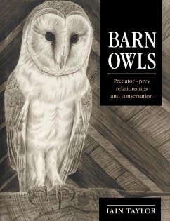 Barn Owls - Taylor, Iain; Iain, Taylor
