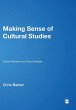 Making Sense of Cultural Studies - Bild 1
