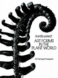 Art Forms in the Plant World - Blossfeldt, Karl