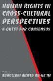 Human Rights in Cross-Cultural Perspectives