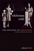 Whiteness Visible