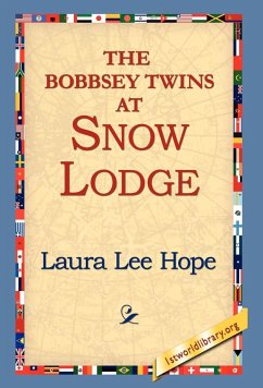 The Bobbsey Twins at Snow Lodge