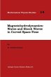 Magnetohydrodynamics: Waves and Shock... - Bild 1