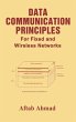Data Communication Principles - Bild 1