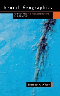 Cover Neural Geographies