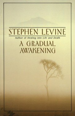 A Gradual Awakening - Levine, Stephen