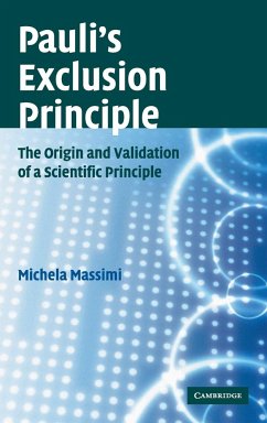 Pauli's Exclusion Principle - Massimi, Michela