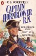 Captain Hornblower R.N. - Bild 1