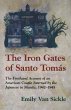 The Iron Gates of Santo Tomas - Bild 1