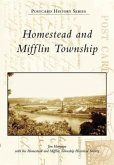 Homestead and Mifflin Township