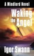 Waking the Angel - Bild 1