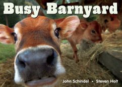 Busy Barnyard - Schindel, John