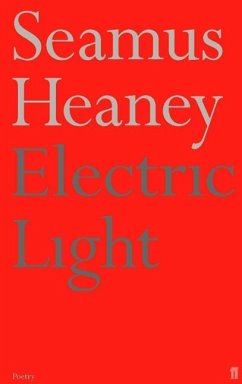 Electric Light - Heaney, Seamus