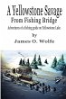 A Yellowstone Savage from Fishing Bridge - Bild 1