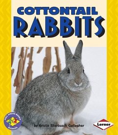 Cottontail Rabbits - Gallagher, Kristin Ellerbush