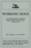 Working Dogs