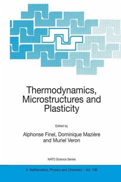 Thermodynamics, Microstructures and Plasticity - Finel, Alphonse / MaziŠre, Dominique / Veron, Muriel (Hgg.)