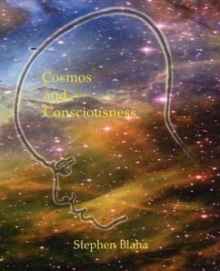 Cosmos and Consciousness: Quantum Computers, SuperStrings, Programming, Egypt, Quarks, Mind Body Problem, and Turing Machines Second Edition - Blaha, Stephen