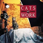 Cats at Work: My Point of View