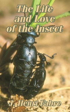 Cover Life and Love of the Insect, The